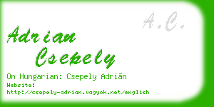 adrian csepely business card